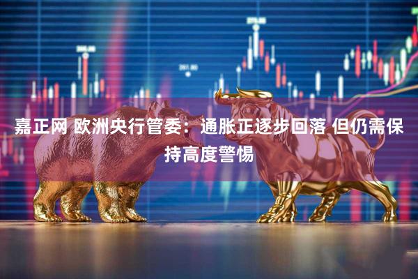 嘉正网 欧洲央行管委：通胀正逐步回落 但仍需保持高度警惕
