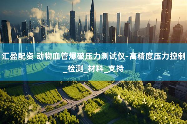 汇盈配资 动物血管爆破压力测试仪-高精度压力控制_检测_材料_支持