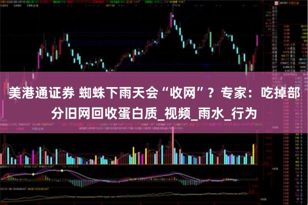 美港通证券 蜘蛛下雨天会“收网”？专家：吃掉部分旧网回收蛋白质_视频_雨水_行为