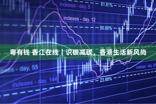 粤有钱 香江在线｜识碳减碳，香港生活新风尚