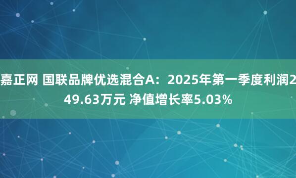 嘉正网 国联品牌优选混合A：2025年第一季度利润249.63万元 净值增长率5.03%