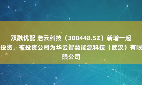 双融优配 浩云科技(300448.SZ)新增一起对外投资,被投资公司为华云智慧能源科技(武汉)有限公司